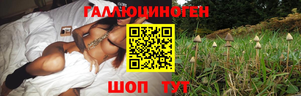 купить  сайты  Галлюциногенные грибы Cubensis  Вход с VPN  Петрозаводск 