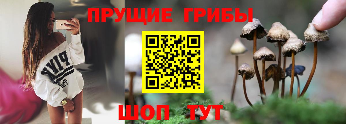 Псилоцибиновые грибы ЛСД Петрозаводск